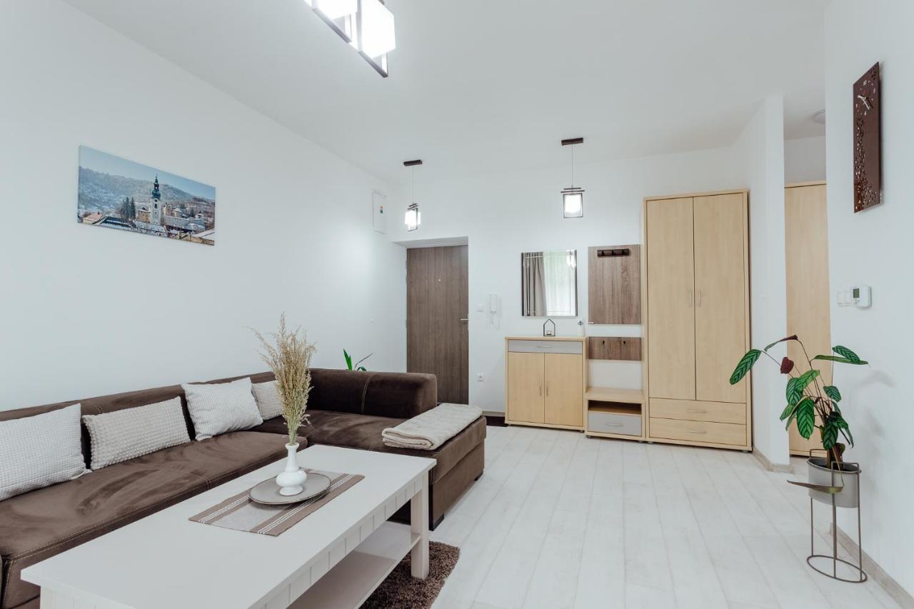 Apartman Vo Vile Kammergraf Banská Štiavnica Exteriér fotografie